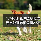 1.74亿！山东无棣蓝洁污水处理有限公司2.5万吨/日提标改造及2.5万吨/日扩建项目EPC项目中标（图3）