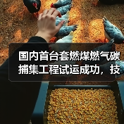 国内首台套燃煤燃气碳捕集工程试运成功,技术突破如何?(图1) 国内首台套燃煤燃气碳捕集工程试运成功,技术突破如何?(图1)