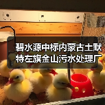 碧水源中标内蒙古土默特左旗金山污水处理厂再生水利用及配套管网工程(图2) 碧水源中标内蒙古土默特左旗金山污水处理厂再生水利用及配套管网工程(图2)