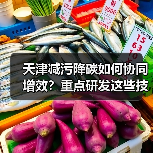 天津减污降碳如何协同增效?重点研发这些技术(图2) 天津减污降碳如何协同增效?重点研发这些技术(图2)