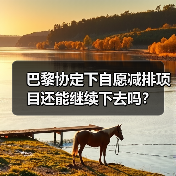 巴黎协定下自愿减排项目还能继续下去吗?(图1) 巴黎协定下自愿减排项目还能继续下去吗?(图1)