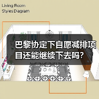巴黎协定下自愿减排项目还能继续下去吗?(图4) 巴黎协定下自愿减排项目还能继续下去吗?(图4)