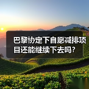 巴黎协定下自愿减排项目还能继续下去吗?(图2) 巴黎协定下自愿减排项目还能继续下去吗?(图2)