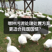哪种污泥处理处置方案更适合我国国情？（图1）