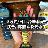 2万吨/日!启迪环境重庆合川项目中微污水工程提前通水!(图4) 2万吨/日!启迪环境重庆合川项目中微污水工程提前通水!(图4)