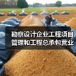 勘察设计企业工程项目管理和工程总承包营业额2024年排名出炉(图3) 勘察设计企业工程项目管理和工程总承包营业额2024年排名出炉(图3)