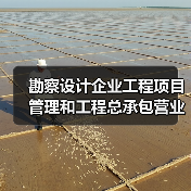 勘察设计企业工程项目管理和工程总承包营业额2024年排名出炉(图4) 勘察设计企业工程项目管理和工程总承包营业额2024年排名出炉(图4)