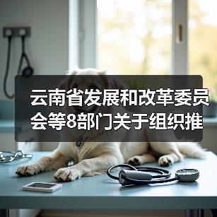 云南省发展和改革委员会等8部门关于组织推荐国家绿色技术的通知(图1) 云南省发展和改革委员会等8部门关于组织推荐国家绿色技术的通知(图1)