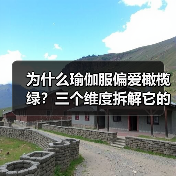 为什么瑜伽服偏爱橄榄绿?三个维度拆解它的修炼哲学(图2) 为什么瑜伽服偏爱橄榄绿?三个维度拆解它的修炼哲学(图2)