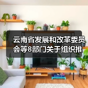 云南省发展和改革委员会等8部门关于组织推荐国家绿色技术的通知(图4) 云南省发展和改革委员会等8部门关于组织推荐国家绿色技术的通知(图4)