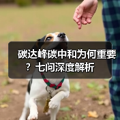 碳达峰碳中和为何重要？七问深度解析（图1）