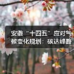 安徽“十四五”应对气候变化规划:碳达峰路径与减排措施解析(图3) 安徽“十四五”应对气候变化规划:碳达峰路径与减排措施解析(图3)