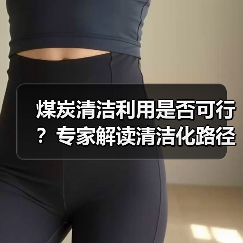 煤炭清洁利用是否可行?专家解读清洁化路径(图3) 煤炭清洁利用是否可行?专家解读清洁化路径(图3)