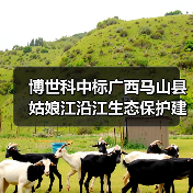 博世科中标广西马山县姑娘江沿江生态保护建设项目工程!(图1) 博世科中标广西马山县姑娘江沿江生态保护建设项目工程!(图1)