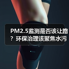 PM2.5监测是否该让路?环保治理该聚焦水污染?(图3) PM2.5监测是否该让路?环保治理该聚焦水污染?(图3)