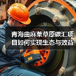 青海曲麻莱草原碳汇项目如何实现生态与效益双赢?(图1) 青海曲麻莱草原碳汇项目如何实现生态与效益双赢?(图1)