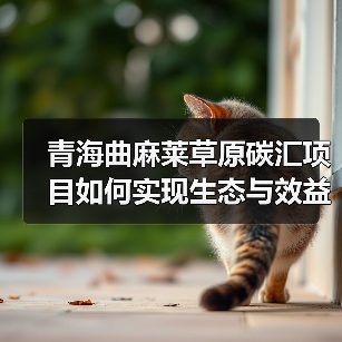 青海曲麻莱草原碳汇项目如何实现生态与效益双赢?(图3) 青海曲麻莱草原碳汇项目如何实现生态与效益双赢?(图3)