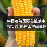 中国建筑国际首推碳中和实践 绿色工程碳交易开启新纪元（图2）