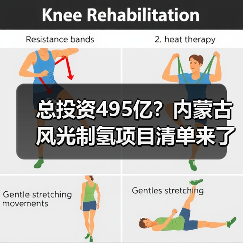 总投资495亿?内蒙古风光制氢项目清单来了!(图2) 总投资495亿?内蒙古风光制氢项目清单来了!(图2)