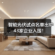 智能光伏试点名单出炉,43家企业入围!(图3) 智能光伏试点名单出炉,43家企业入围!(图3)