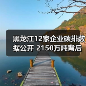 黑龙江12家企业碳排数据公开 2150万吨背后绿色转型如何推进？（图3）