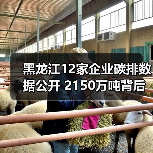 黑龙江12家企业碳排数据公开 2150万吨背后绿色转型如何推进？（图4）