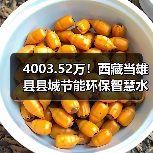 4003.52万!西藏当雄县县城节能环保智慧水务工程EPC总承包项目招标(图4) 4003.52万!西藏当雄县县城节能环保智慧水务工程EPC总承包项目招标(图4)