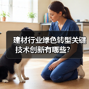 建材行业绿色转型关键技术创新有哪些?(图1) 建材行业绿色转型关键技术创新有哪些?(图1)
