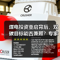 煤电投资重启背后，双碳目标能否兼顾？专家分析（图1）