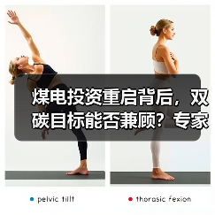 煤电投资重启背后，双碳目标能否兼顾？专家分析（图2）