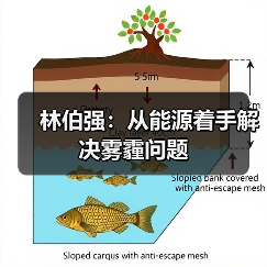 林伯强:从能源着手解决雾霾问题(图2) 林伯强:从能源着手解决雾霾问题(图2)