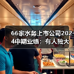 66家水务上市公司2024中期业绩：有人独大、有人退场！（图4）