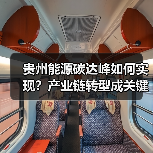 贵州能源碳达峰如何实现？产业链转型成关键！（图3）