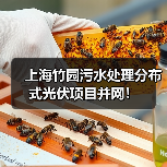 上海竹园污水处理分布式光伏项目并网!(图1) 上海竹园污水处理分布式光伏项目并网!(图1)
