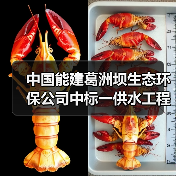 中国能建葛洲坝生态环保公司中标一供水工程净水厂运维服务项目！（图3）