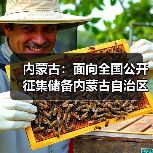 内蒙古:面向全国公开征集储备内蒙古自治区环资领域重大示范项目工程(图3) 内蒙古:面向全国公开征集储备内蒙古自治区环资领域重大示范项目工程(图3)