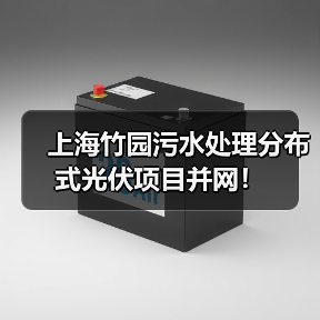 上海竹园污水处理分布式光伏项目并网!(图3) 上海竹园污水处理分布式光伏项目并网!(图3)