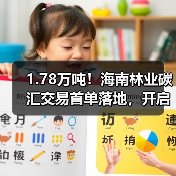 1.78万吨！海南林业碳汇交易首单落地，开启生态价值变现新路径（图3）
