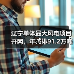 辽宁单体最大风电项目并网，年减排91.2万吨如何实现？（图2）