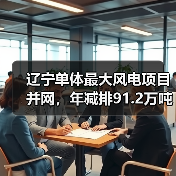 辽宁单体最大风电项目并网，年减排91.2万吨如何实现？（图3）