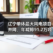 辽宁单体最大风电项目并网，年减排91.2万吨如何实现？（图4）