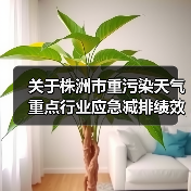 关于株洲市重污染天气重点行业应急减排绩效评级第一批提级企业名单的公示(图2) 关于株洲市重污染天气重点行业应急减排绩效评级第一批提级企业名单的公示(图2)