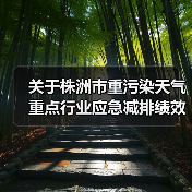 关于株洲市重污染天气重点行业应急减排绩效评级第一批提级企业名单的公示(图4) 关于株洲市重污染天气重点行业应急减排绩效评级第一批提级企业名单的公示(图4)
