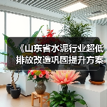 《山东省水泥行业超低排放改造巩固提升方案(征求意见稿)》发布(图3) 《山东省水泥行业超低排放改造巩固提升方案(征求意见稿)》发布(图3)
