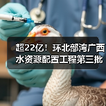 超22亿!环北部湾广西水资源配置工程第三批施工标(施工A3标、施工D3标、施工D5标)中标候选人公示!(图2) 超22亿!环北部湾广西水资源配置工程第三批施工标(施工A3标、施工D3标、施工D5标)中标候选人公示!(图2)