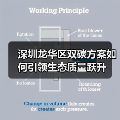 深圳龙华区双碳方案如何引领生态质量跃升(图4) 深圳龙华区双碳方案如何引领生态质量跃升(图4)
