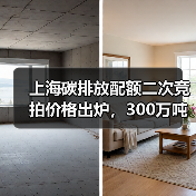 上海碳排放配额二次竞拍价格出炉,300万吨如何竞价?(图3) 上海碳排放配额二次竞拍价格出炉,300万吨如何竞价?(图3)