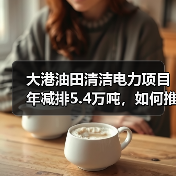 大港油田清洁电力项目年减排5.4万吨,如何推动低碳转型?(图4) 大港油田清洁电力项目年减排5.4万吨,如何推动低碳转型?(图4)