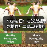 5万吨/日!江苏滨湖污水处理厂二期工程顺利出水运行(图2) 5万吨/日!江苏滨湖污水处理厂二期工程顺利出水运行(图2)