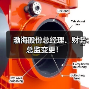渤海股份总经理、财务总监变更!(图3) 渤海股份总经理、财务总监变更!(图3)